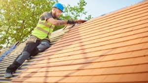 Best Roof Maintenance and Cleaning  in Danville, AR